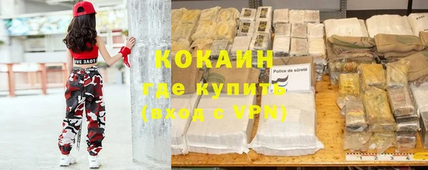 соль ск Козельск