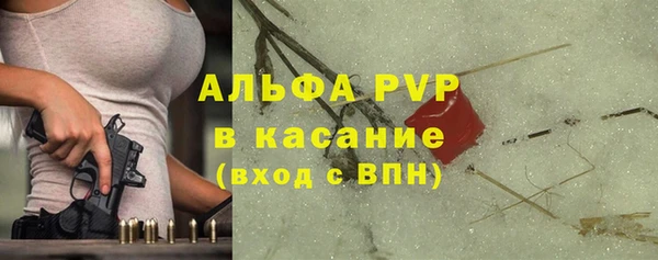 соль ск Козельск