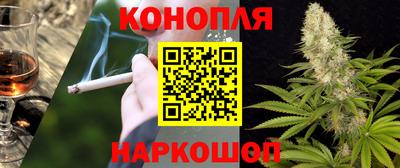 Альфа ПВП Дубна