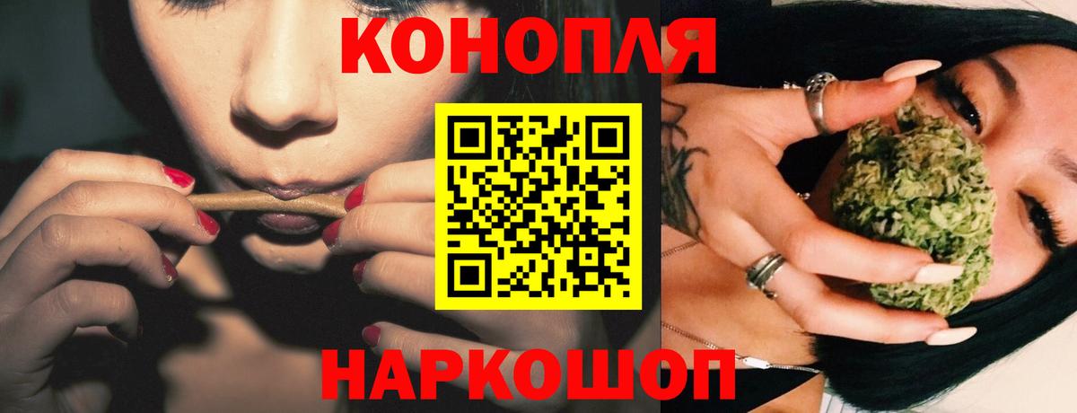 МАРИХУАНА сатива Родники